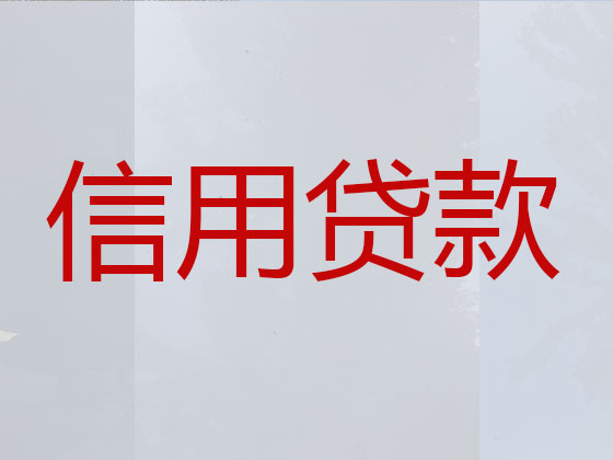 漳州抵押贷款-银行信用贷款